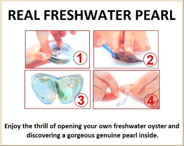 Niece Sentiments Love Pearl™ Cage Necklace DIY Oyster Opening Kit