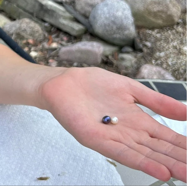 Fresh water pearl supplier located in the USA