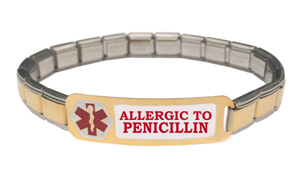 Allergic To Penicillin Medical Alert 9mm Italian Charm Starter Bracelet